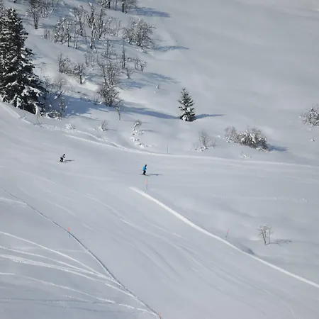 Surselva Hotel