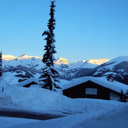 Surselva Hotel