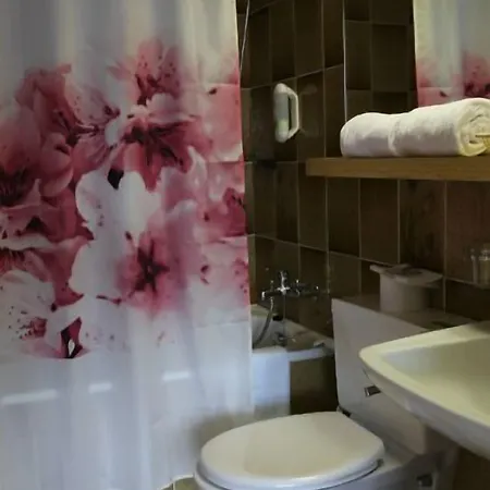 Surselva Hotel