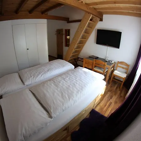 Hotel Surselva Hotel Surcuolm