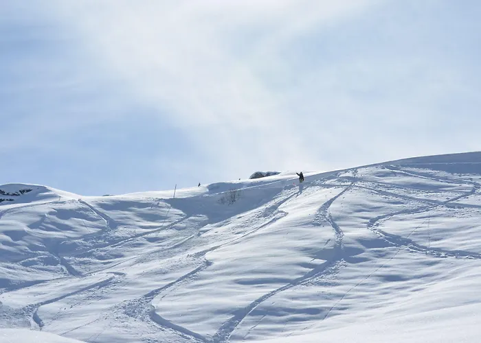 Hotel Hotel Surselva Surcuolm