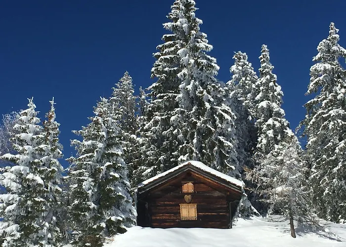 Hotel Surselva Hotel 3*