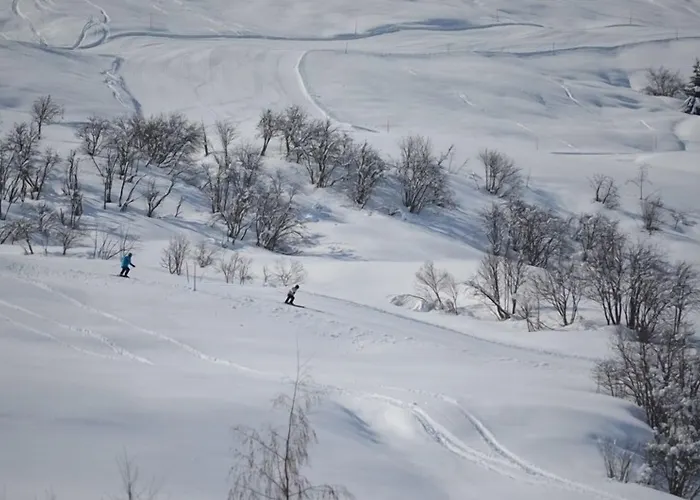 Surselva فندق 3*