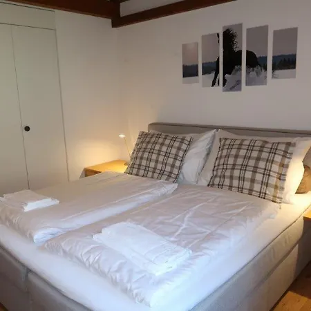 Surselva 3* Surcuolm
