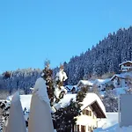 Hotel Surselva 3*